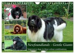 Newfoundlands Gentle Giants (Wall Calendar 2024 DIN A4 landscape), CALVENDO 12 Month Wall Calendar