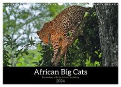 African Big Cats (Wall Calendar 2024 DIN A3 landscape), CALVENDO 12 Month Wall Calendar