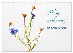Plants on the way to tomorrow (Wall Calendar 2024 DIN A3 landscape), CALVENDO 12 Month Wall Calendar