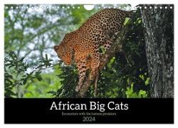 African Big Cats (Wall Calendar 2024 DIN A4 landscape), CALVENDO 12 Month Wall Calendar