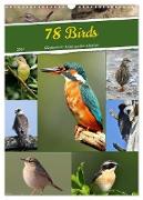 78 Birds (Wall Calendar 2024 DIN A3 portrait), CALVENDO 12 Month Wall Calendar