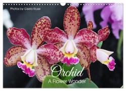 Orchid - A Flower Wonder (Wall Calendar 2024 DIN A3 landscape), CALVENDO 12 Month Wall Calendar
