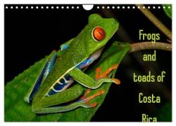 Frogs and toads of Costa Rica / UK-version (Wall Calendar 2024 DIN A4 landscape), CALVENDO 12 Month Wall Calendar