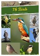 78 Birds (Wall Calendar 2024 DIN A4 portrait), CALVENDO 12 Month Wall Calendar