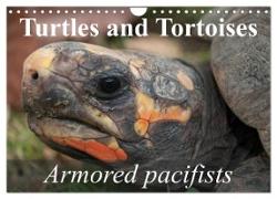 Turtles and Tortoises - Armored pacifists (Wall Calendar 2024 DIN A4 landscape), CALVENDO 12 Month Wall Calendar