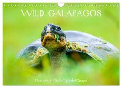 WILD GALAPAGOS (Wall Calendar 2024 DIN A4 landscape), CALVENDO 12 Month Wall Calendar