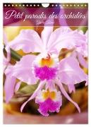 Petit paradis des orchidées (Calendrier mural 2024 DIN A4 horizontal), CALVENDO calendrier mensuel