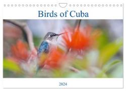 Birds of Cuba Island (Wall Calendar 2024 DIN A4 landscape), CALVENDO 12 Month Wall Calendar