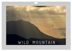 WILD MOUNTAIN (Wall Calendar 2024 DIN A4 landscape), CALVENDO 12 Month Wall Calendar