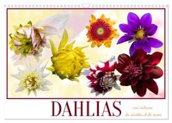 DAHLIAS une richesse de variétés et de noms (Calendrier mural 2024 DIN A3 vertical), CALVENDO calendrier mensuel