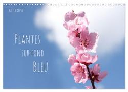 Plantes sur fond bleu (Calendrier mural 2024 DIN A3 vertical), CALVENDO calendrier mensuel