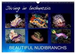 Diving in Indonesia - BEAUTIFUL NUDIBRANCHS (Wall Calendar 2024 DIN A3 landscape), CALVENDO 12 Month Wall Calendar