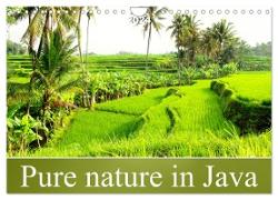 Pure nature in Java (Wall Calendar 2024 DIN A4 landscape), CALVENDO 12 Month Wall Calendar