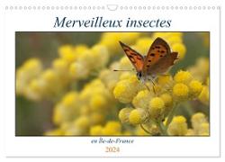 Merveilleux insectes en Île-de-France (Calendrier mural 2024 DIN A3 vertical), CALVENDO calendrier mensuel