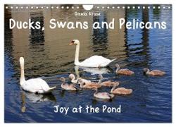 Ducks, Swans and Pelicans Joy at the Pond (Wall Calendar 2024 DIN A4 landscape), CALVENDO 12 Month Wall Calendar