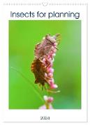 Insects for planning (Wall Calendar 2024 DIN A3 portrait), CALVENDO 12 Month Wall Calendar