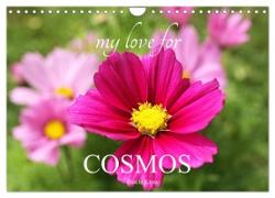My Love for Cosmos (Wall Calendar 2024 DIN A4 landscape), CALVENDO 12 Month Wall Calendar