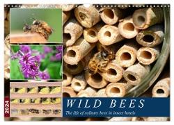 Wild bees - The life of solitary bees in insect hotels (Wall Calendar 2024 DIN A3 landscape), CALVENDO 12 Month Wall Calendar