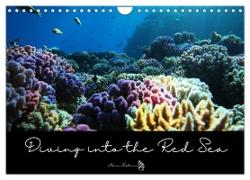 Diving into the Red Sea (Wall Calendar 2024 DIN A4 landscape), CALVENDO 12 Month Wall Calendar