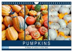 Pumpkins - A blaze of colour in the field (Wall Calendar 2024 DIN A4 landscape), CALVENDO 12 Month Wall Calendar