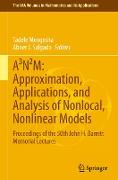 A³N²M: Approximation, Applications, and Analysis of Nonlocal, Nonlinear Models