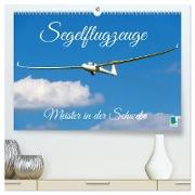 Meister in der Schwebe: Segelflugzeuge (hochwertiger Premium Wandkalender 2024 DIN A2 quer), Kunstdruck in Hochglanz
