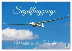 Meister in der Schwebe: Segelflugzeuge (Wandkalender 2024 DIN A2 quer), CALVENDO Monatskalender
