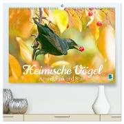 Amsel, Fink und Star: Heimische Vögel (hochwertiger Premium Wandkalender 2024 DIN A2 quer), Kunstdruck in Hochglanz