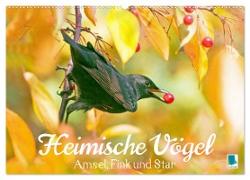 Amsel, Fink und Star: Heimische Vögel (Wandkalender 2024 DIN A2 quer), CALVENDO Monatskalender