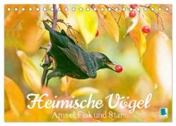 Amsel, Fink und Star: Heimische Vögel (Tischkalender 2024 DIN A5 quer), CALVENDO Monatskalender