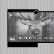 Rotwild 2024