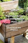 Beginners Guide To Growing House Plants
