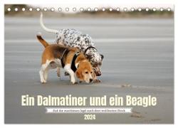 Ein Dalmatiner und ein Beagle - Auf der maritimen Jagd nach dem weltbesten Stock (Tischkalender 2024 DIN A5 quer), CALVENDO Monatskalender