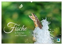 Fische in Teichen und Flüssen (Wandkalender 2024 DIN A2 quer), CALVENDO Monatskalender
