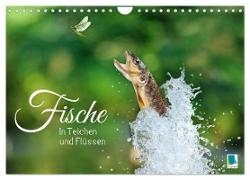 Fische in Teichen und Flüssen (Wandkalender 2024 DIN A4 quer), CALVENDO Monatskalender