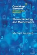 Phenomenology and Mathematics