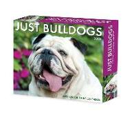 Bulldogs 2024 6.2 X 5.4 Box Calendar