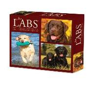 Labs 2024 6.2 X 5.4 Box Calendar