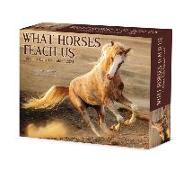 What Horses Teach Us 2024 6.2 X 5.4 Box Calendar