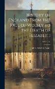 History of England From the Fall of Wolsey to the Death of Elizabeth, Volume 12
