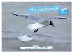 Sturmerprobt - Vögel an Nordfrieslands Küste (Tischkalender 2024 DIN A5 quer), CALVENDO Monatskalender