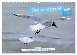 Sturmerprobt - Vögel an Nordfrieslands Küste (Wandkalender 2024 DIN A3 quer), CALVENDO Monatskalender
