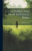 Little Foxes, and How to Catch Them