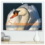 Schwanenzauber (hochwertiger Premium Wandkalender 2024 DIN A2 quer), Kunstdruck in Hochglanz