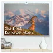 Steinbock - König der Alpen (hochwertiger Premium Wandkalender 2024 DIN A2 quer), Kunstdruck in Hochglanz
