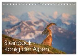 Steinbock - König der Alpen (Tischkalender 2024 DIN A5 quer), CALVENDO Monatskalender