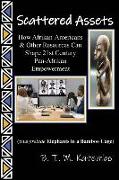 Scattered Assets: How Afrikan-Americans & Other Resources Can Shape 21st Century Pan-Afrikan Empowerment