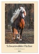 Schwarzwälder Füchse von Julia Hahn Photography (Wandkalender 2024 DIN A3 hoch), CALVENDO Monatskalender
