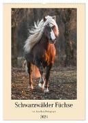 Schwarzwälder Füchse von Julia Hahn Photography (Wandkalender 2024 DIN A2 hoch), CALVENDO Monatskalender