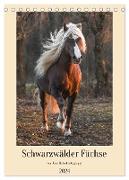Schwarzwälder Füchse von Julia Hahn Photography (Tischkalender 2024 DIN A5 hoch), CALVENDO Monatskalender